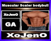 Muscular Scaler bodybuil