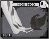 ~DC) Moo Moo [tail]