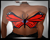 Top  Butterfly