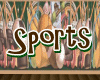 SPORTS COUCH