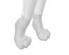 Gray Woff Hind Paws
