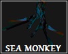 Sea Monkey Feet