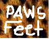 iLeopard feet paws furry