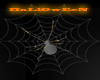 *LRR* spider in web