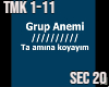 Grup Anemi Ta AMK