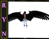 RYN: Black Ani Wings M/F