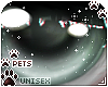 [Pets] Ginga | eyes v1