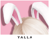 YALLA Animated Bunny Ear