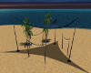 beach canopy 