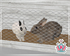 Pet Rabbit Cage