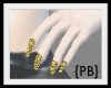 {PB}Gold princess nails