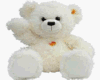White Teddy Bear
