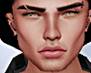 Realistic Skins