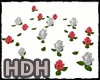 (HDH)Rosas agua