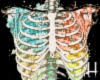 [MH] Colorful Skeleton