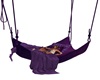Purple Cuddle Swing
