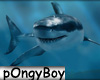 3 Underwater Sences
