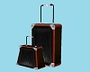 CK PM Luggage Black