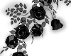 ✮ black roses