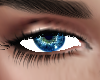 Shoenix Blue Eyes
