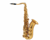Saxofone Intem
