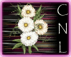 [CNL]Filler flower cage