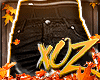 (UNI) xOz Designer Jns B