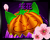 {花}Lucky Cat Pumpkin F