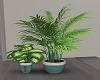 ~SL~ Salon Plant Duo