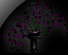 !! Purple Desire Plant