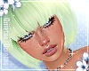 Goho Bamboo | Q