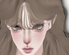 NNN.茶色 Devon