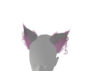 Holo | Dawn Ears