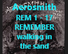 AEROSMITH -REMEMBER