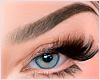 Ᏸ |  My Diva Brows