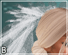 Lack Back Veil