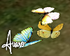 Forest  Butterflies