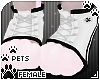 [Pets] Sneakers | White