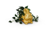 golden bunny floor plant