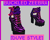 BUCKLED ZEEBRA