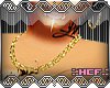 :.HCF.:Double Gold Chain