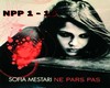 S MESTARI NE PARS PAS