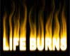 Life Burns