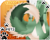 [Pets] Frankie | tail v2