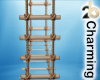 wearable ladder