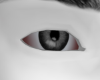 Primus Steel Grey Eyes