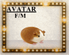 [B] Hamster Avatar F/M