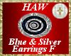 Blue & Silver Earrings F