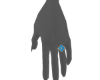 Ring 2 VanCf Blue 1 L
