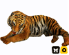 Tammed Tiger